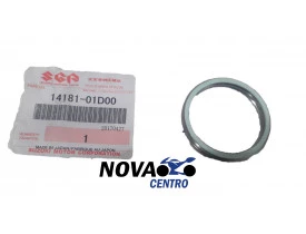 ANEL DE ESCAPE GS500 / DR650